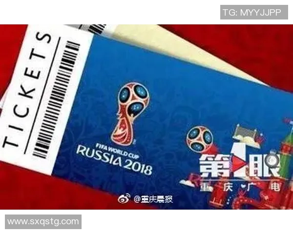 球迷假票事件调查